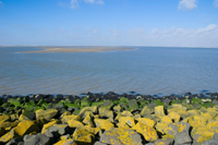 Kust